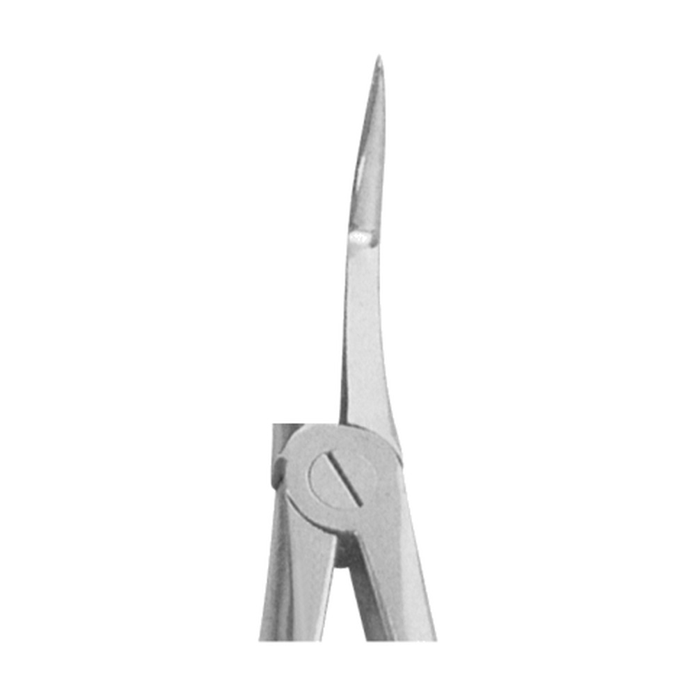 Very Fine Roots Lower Extracting Forceps 1 Very Fine Roots Lower Extracting Forceps