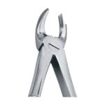 Upper Molars, Right Extracting Forceps EX 10 17