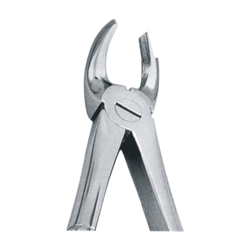 Upper Molars, Right Extracting Forceps 1 Upper Molars, Right Extracting Forceps