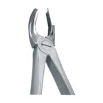 Upper Molars, Left Www. Fizza S Ur Gic A L.C Om EX 10 18
