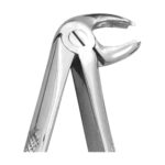 Lower Molars Right Extracting Forceps EX 10 23