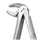 Lower Molars Left Extracting Forceps EX 10 24