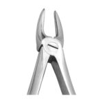 Extracting Forceps EX-10-29N EX 10 29N