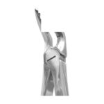 Lower Roots Extracting Forceps EX 10 31