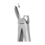 Lower Molars Extracting Forceps EX-10-32 EX 10 32