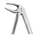 Extracting Forceps EX-10-33M EX 10 33M