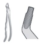 Upper Incisors & Cuspids Extracting Forceps Fig. 34 EX 10 34