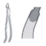 Upper Incisors & Cuspids, Deep Gripping Fig. 35 EX 10 35
