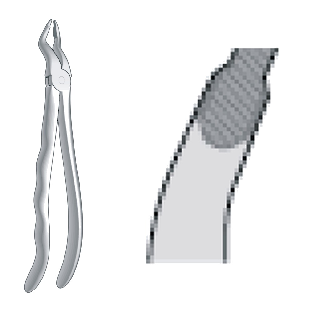 Upper Incisors & Cuspids, Deep Gripping Fig. 35 1 Upper Incisors & Cuspids, Deep Gripping Fig. 35