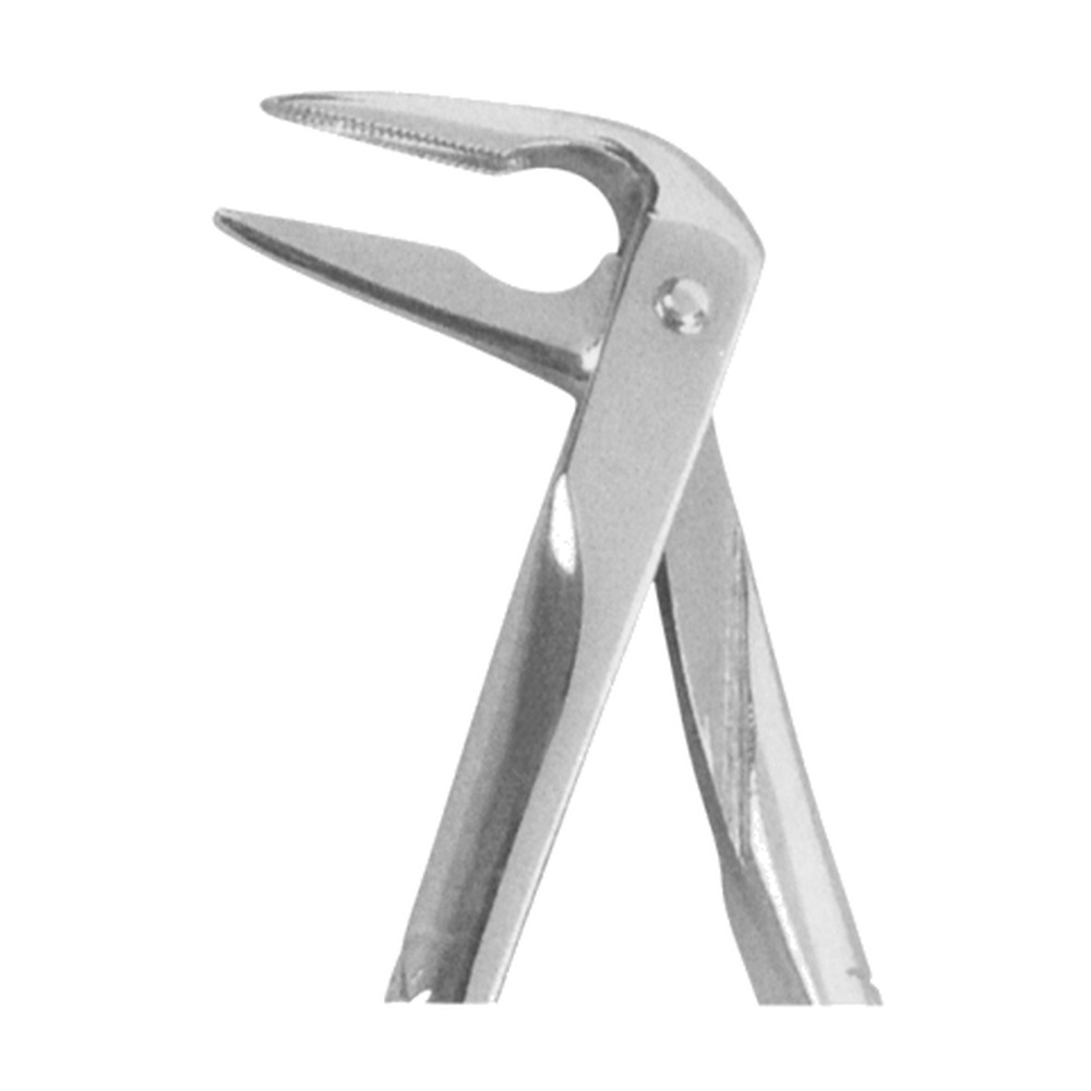 Very Fine Roots Lower Extracting Forceps EX-10-359 1 Very Fine Roots Lower Extracting Forceps EX-10-359
