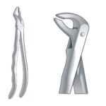 Lower Roots Incisors & Cuspids Fig. 36 EX 10 36