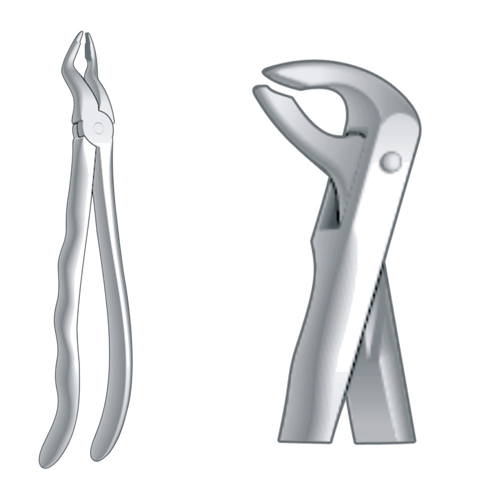 Lower Roots Incisors & Cuspids Fig. 36 1 Lower Roots Incisors & Cuspids Fig. 36