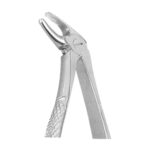 Lower Incisors And Canines Fig. 38 EX 10 38