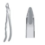 Extracting Forceps EX-10-46N EX 10 46N