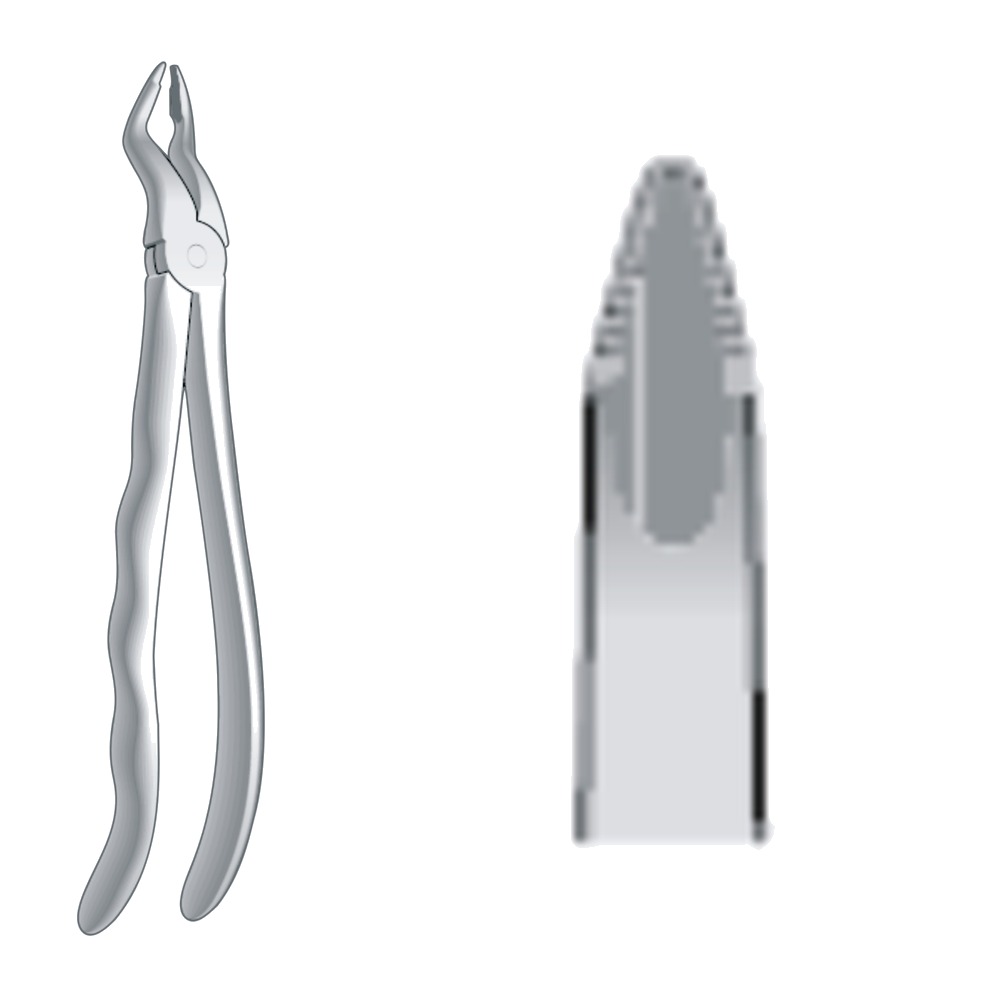 Extracting Forceps EX-10-46N 1 Extracting Forceps EX-10-46N