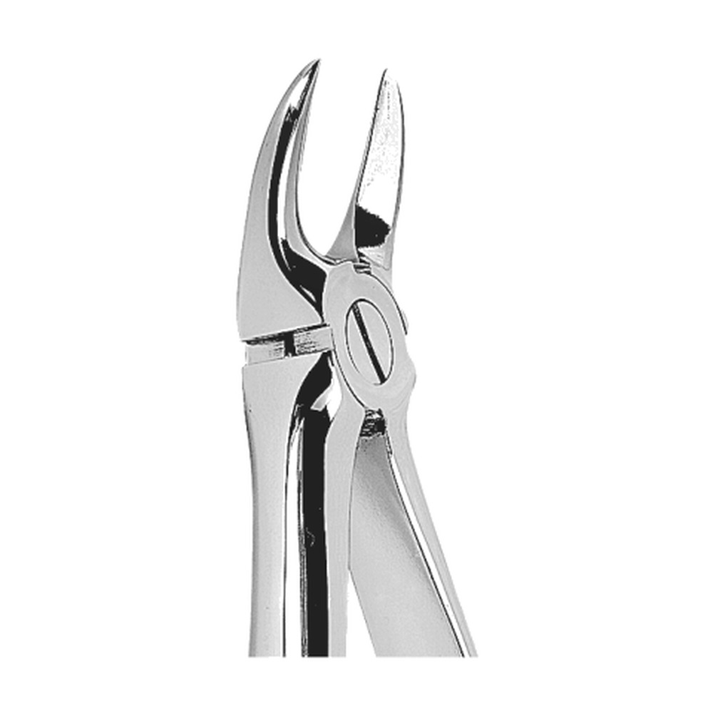 for Separating Upper Molars 1 for Separating Upper Molars