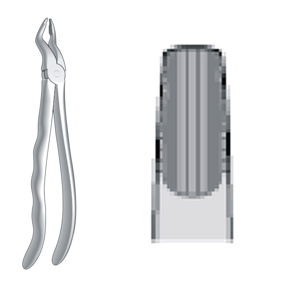 Lower Root Fragments Extracting Forceps Fig. 59 1 Lower Root Fragments Extracting Forceps Fig. 59