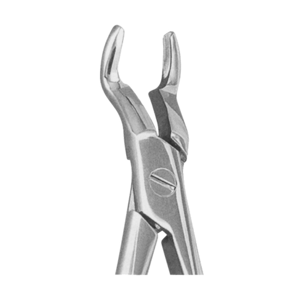 Upper Third Molars Extracting Forceps EX-10-67 1 Upper Third Molars Extracting Forceps EX-10-67