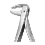 Extracting Forceps EX-10-74N EX 10 74N
