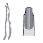 Extracting Forceps EX-10-79N EX 10 79N