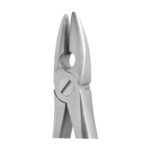Md Incisors, Bicuspids & Roots Upper EX 10 MD1