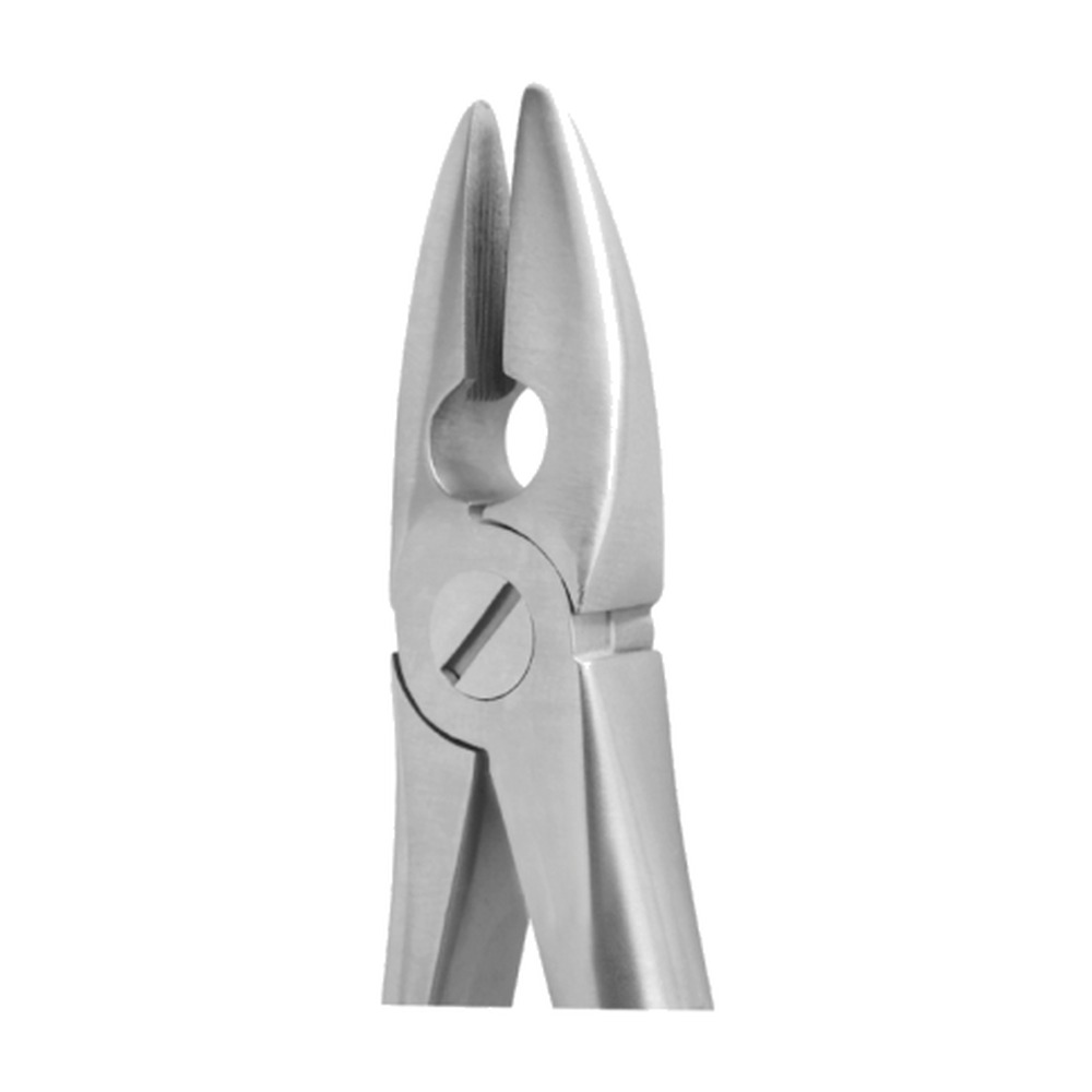 Md Incisors, Bicuspids & Roots Upper 1 Md Incisors, Bicuspids & Roots Upper
