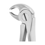 Md Incisors, Bicuspids & Roots Lower EX 10 MD3