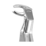 Extracting Forceps EX-25-122R EX 25 122R