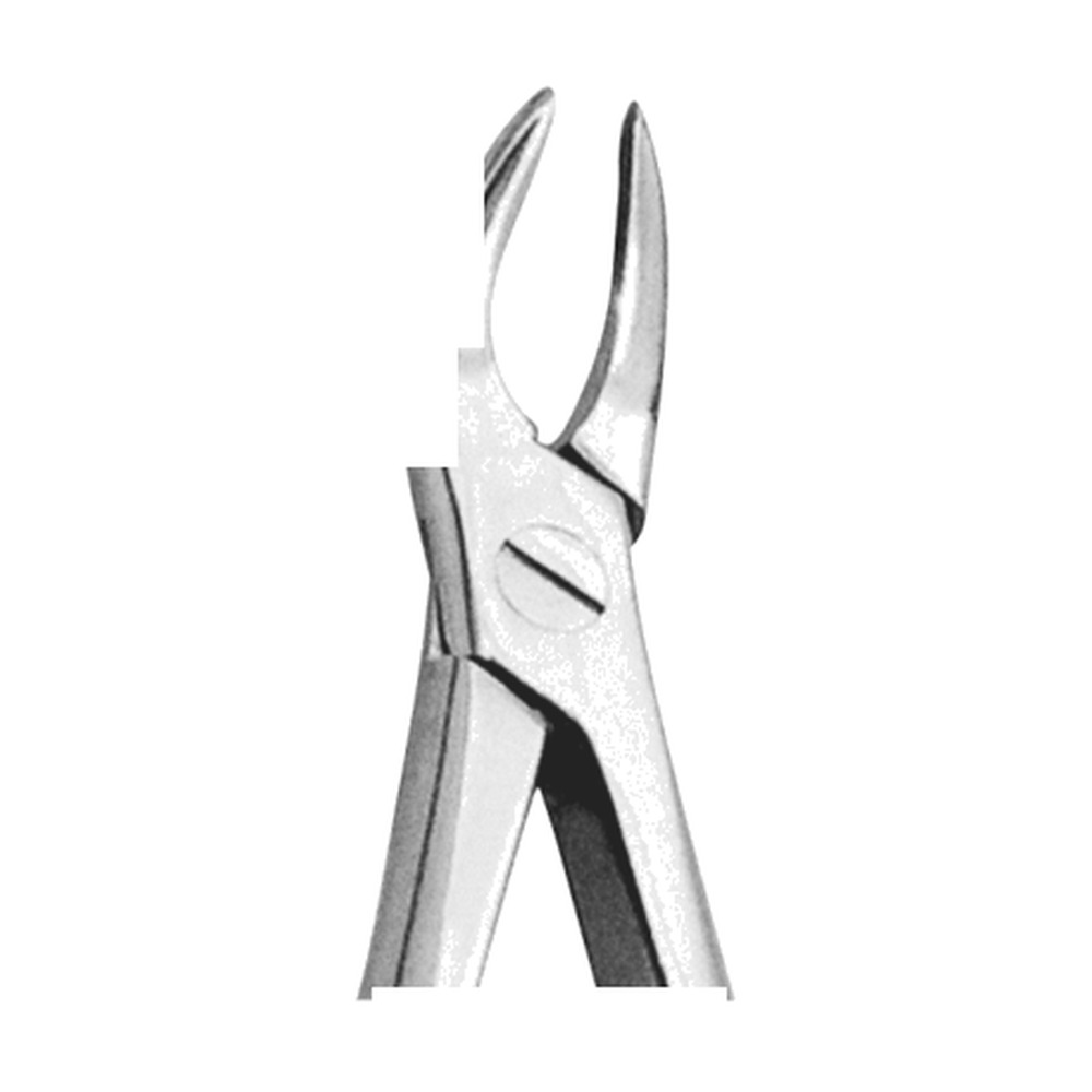 Witzel Lower Roots Extracting Forceps 1 Witzel Lower Roots Extracting Forceps