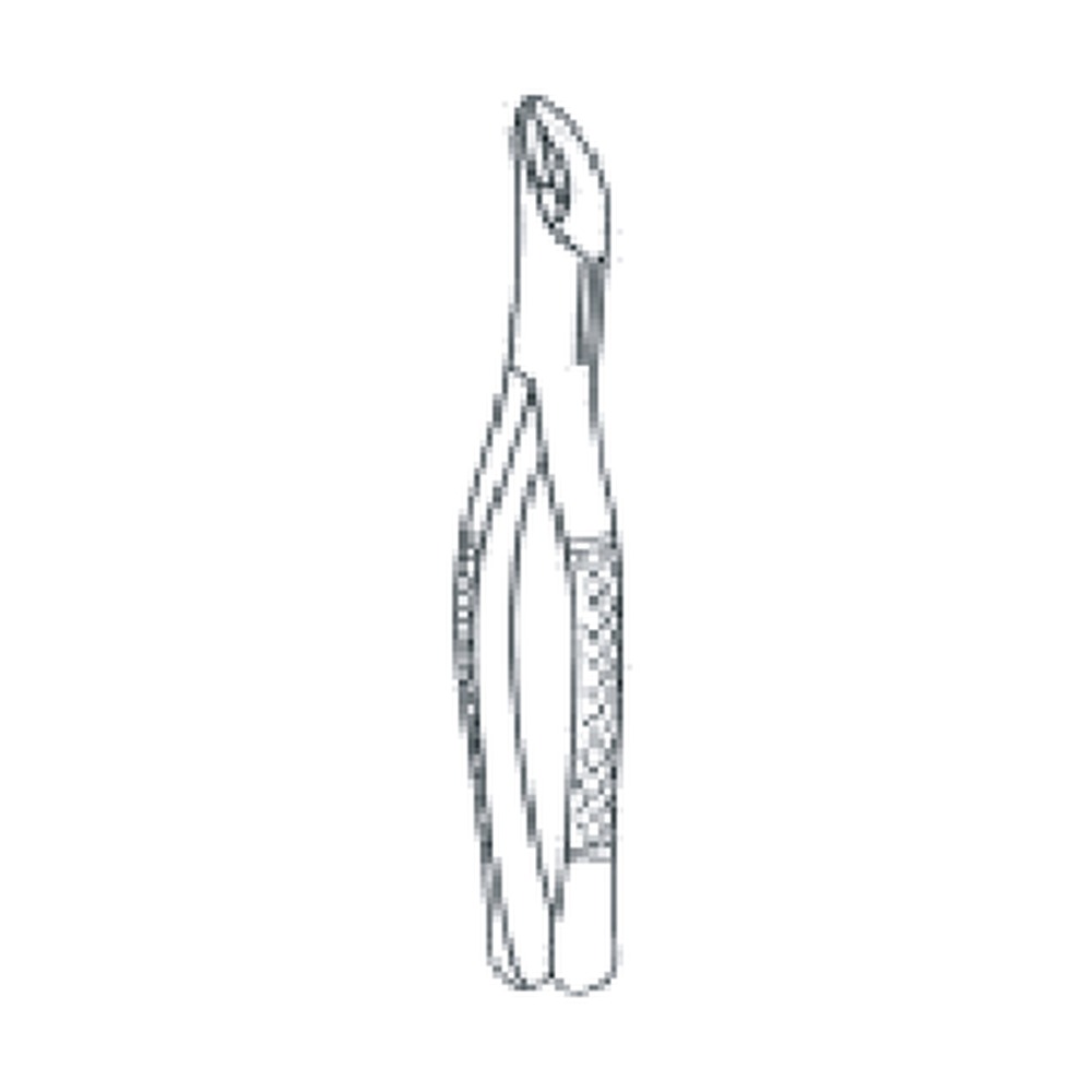 Upper & Lower Third Molars 1 Upper & Lower Third Molars