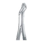 H Upper Molars, Hook Handle EX 45 10H