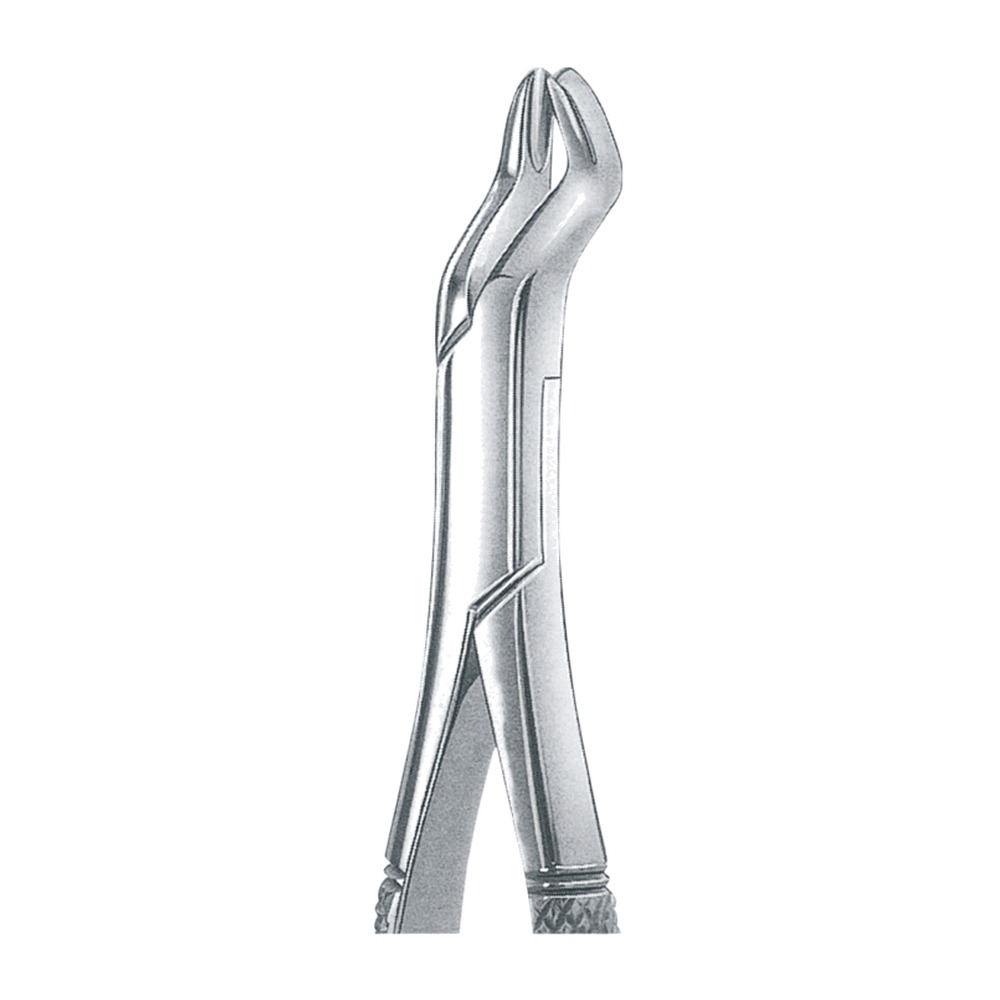 H Upper Molars, Hook Handle 1 H Upper Molars, Hook Handle