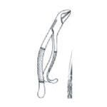 Lower Incisors Extracting Forceps EX 45 14