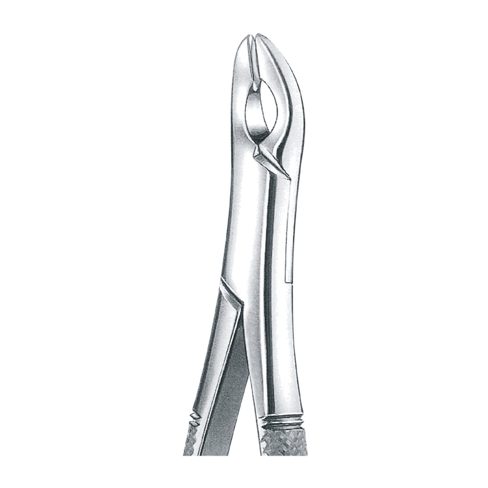 A Cryer Upper Incisors, Cuspids & Bicuspids 1 A Cryer Upper Incisors, Cuspids & Bicuspids