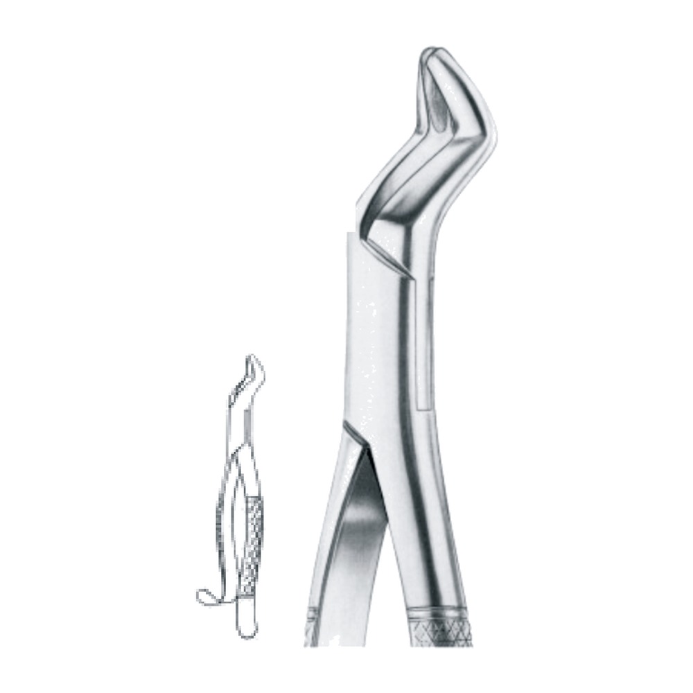 Gold Plated Cryer Upper Incisors, Bicuspids EX-45-150G 1 Gold Plated Cryer Upper Incisors, Bicuspids EX-45-150G