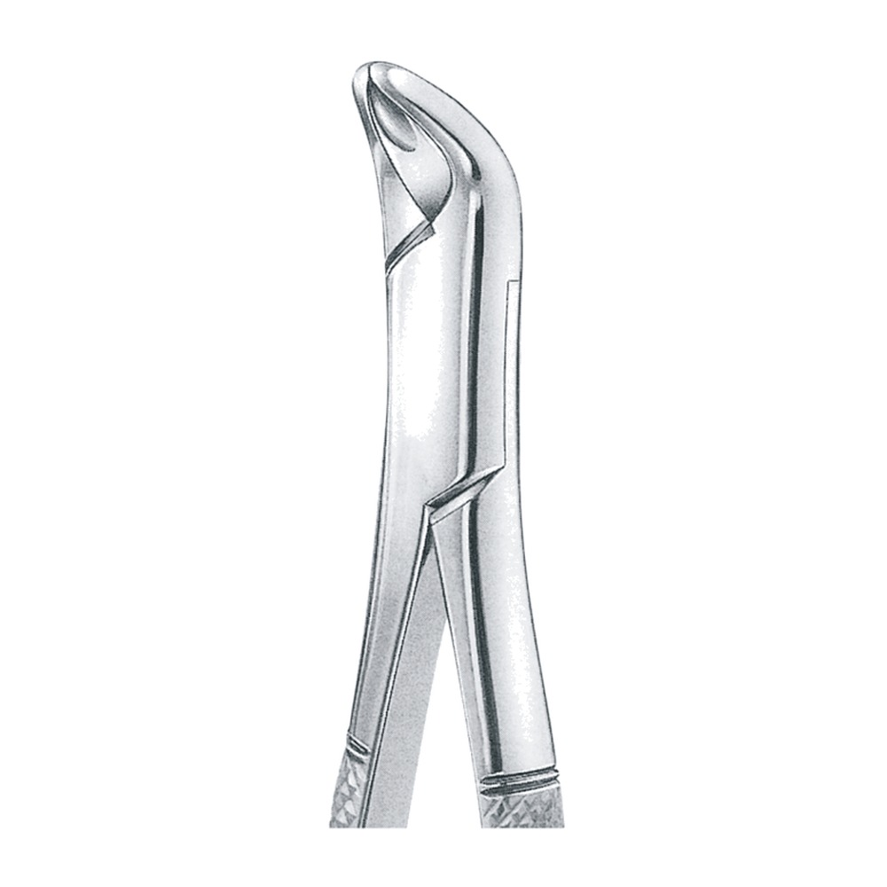 Gold Plated Cryer & Lower Incisors, Bicuspids 1 Gold Plated Cryer & Lower Incisors, Bicuspids