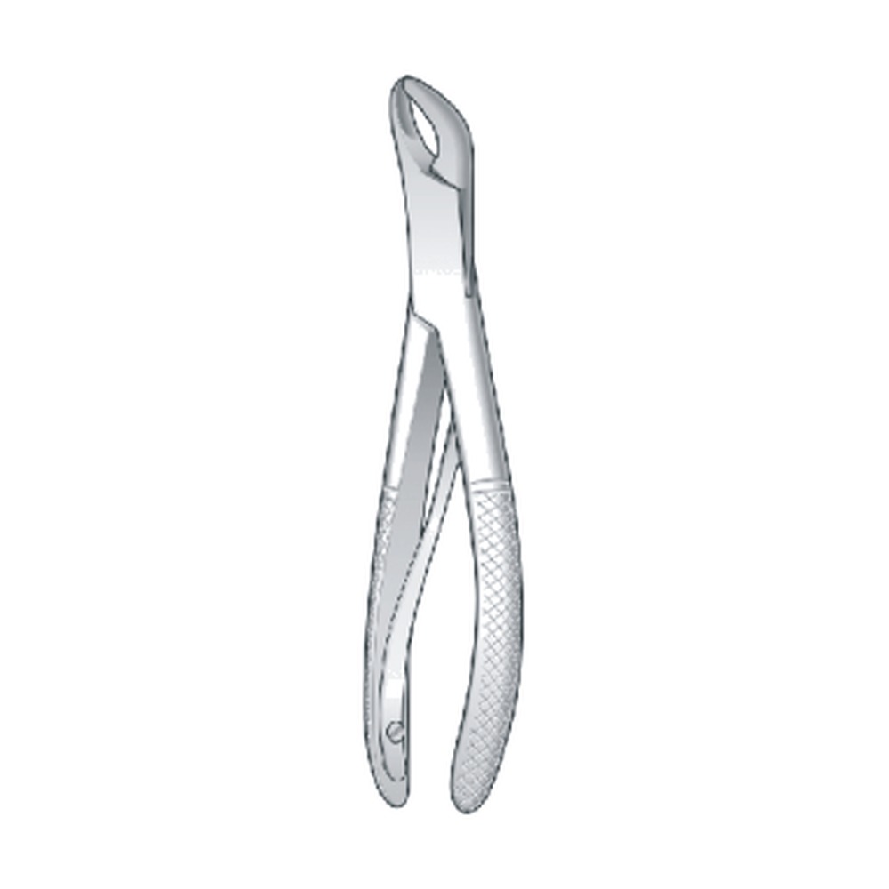 Sk Children, Lower Incisors, Bicuspids & Roots 1 Sk Children, Lower Incisors, Bicuspids & Roots