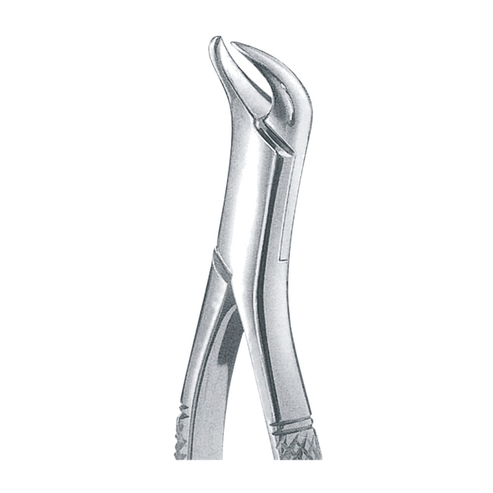 Sk “Cow Extracting Forceps 1 Sk “Cow Extracting Forceps