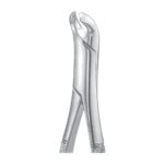 Gold Plated Extracting Forceps EX 45 17