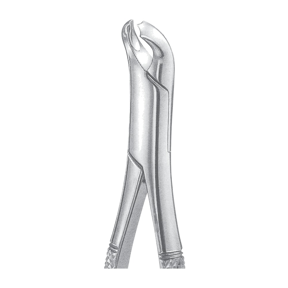 Gold Plated Extracting Forceps 1 Gold Plated Extracting Forceps