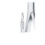 Upper Incisors, Canines, Premolars EX 45 201