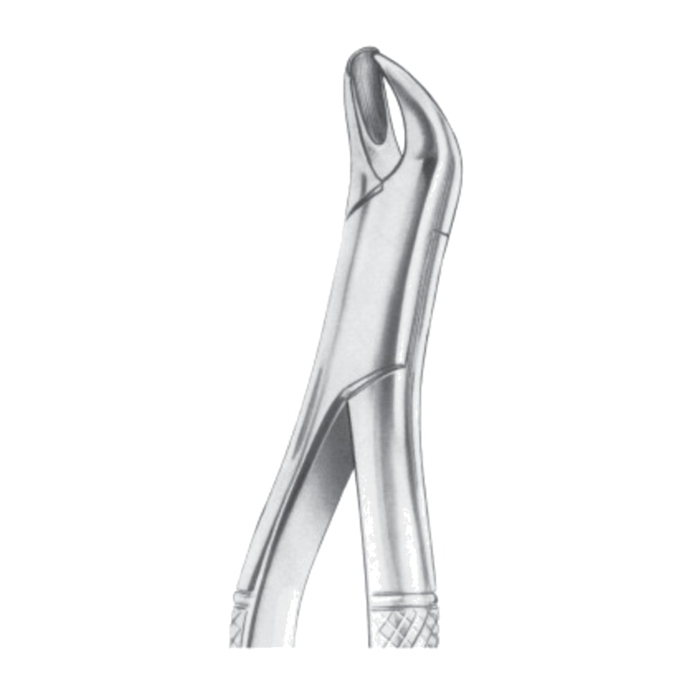 L Upper Molars Left Extracting Forceps 1 L Upper Molars Left Extracting Forceps