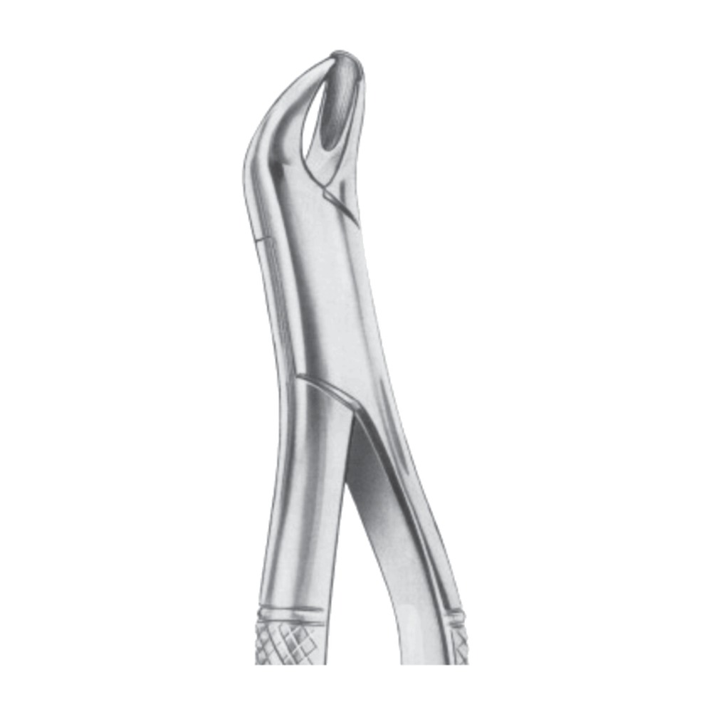 R Upper Molars Right Extracting Forceps 1 R Upper Molars Right Extracting Forceps