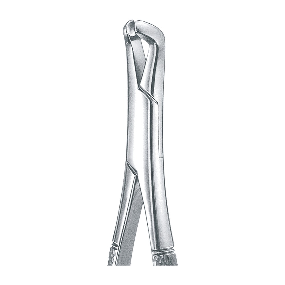 Lower Wisdoms Extracting Forceps 1 Lower Wisdoms Extracting Forceps