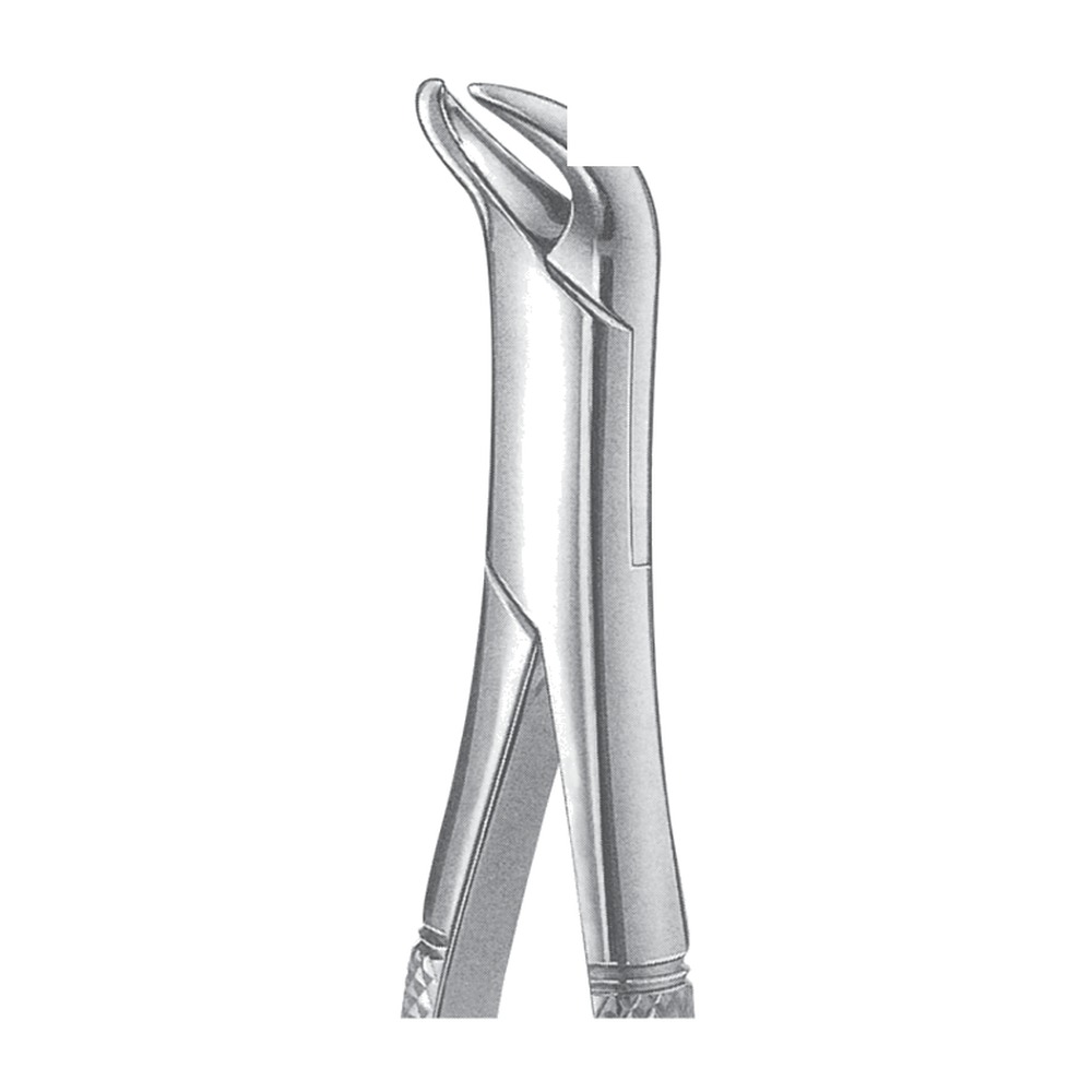 “Cow Extracting Forceps EX-45-23 1 “Cow Extracting Forceps EX-45-23