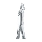 Upper Incisors, Bicuspids Roots EX 45 286
