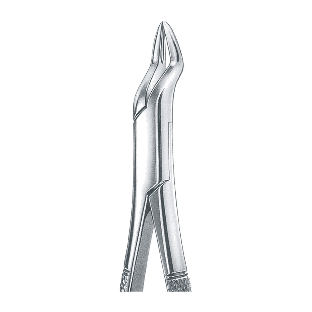Upper Incisors, Bicuspids Roots 1 Upper Incisors, Bicuspids Roots