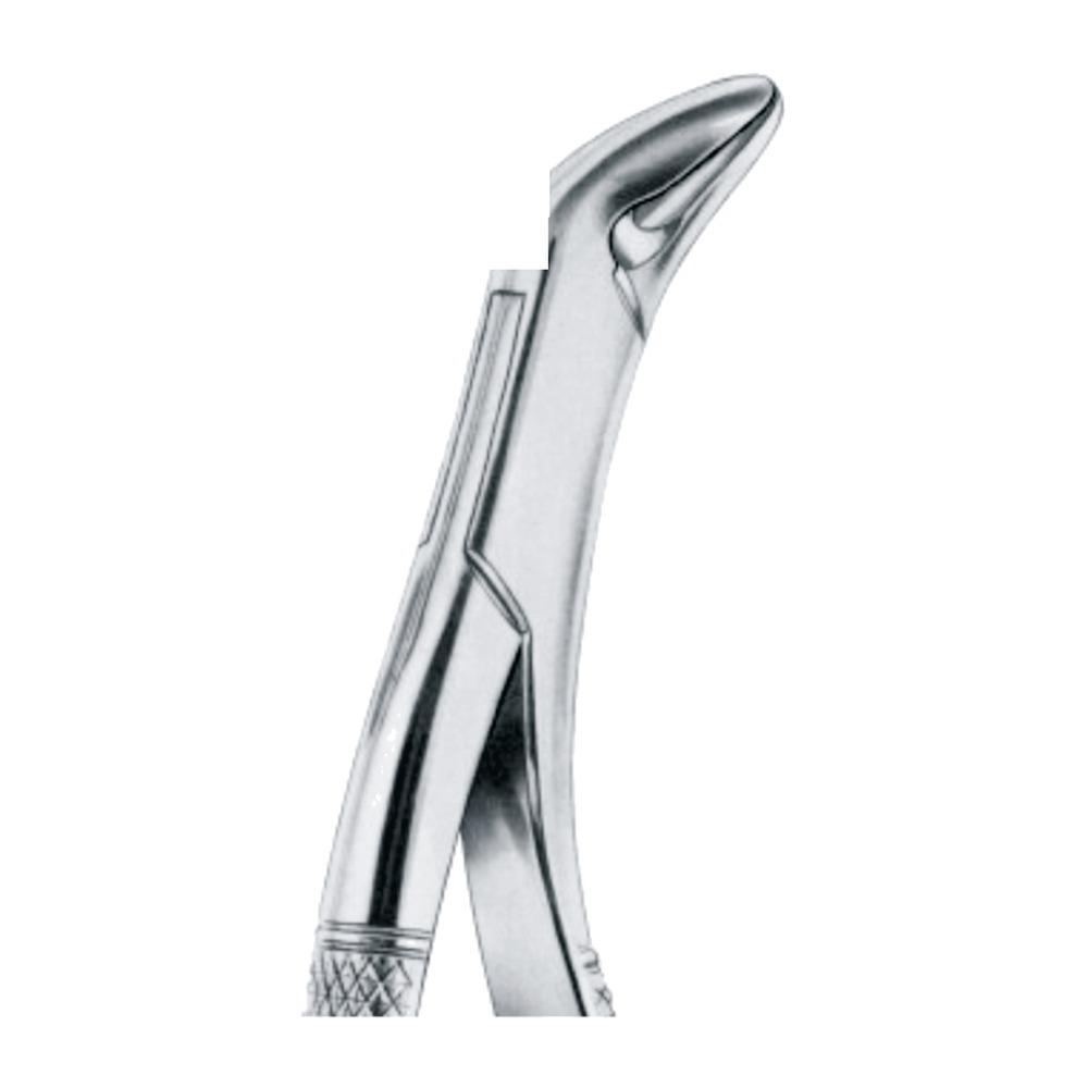 Lower Canines & Premolars Extracting Forceps 1 Lower Canines & Premolars Extracting Forceps