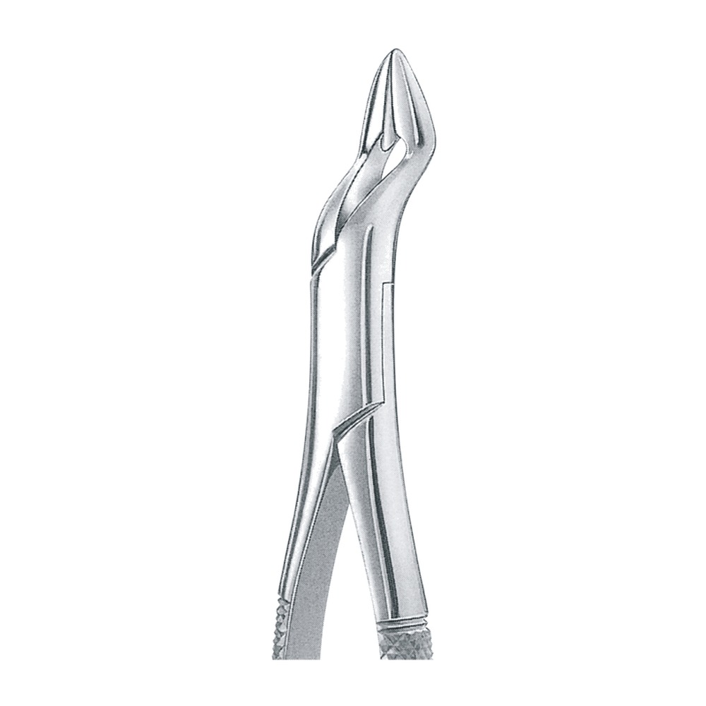 Upper Bicuspids Extracting Forceps 1 Upper Bicuspids Extracting Forceps