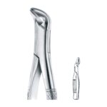 Lower Anteriors & Roots Extracting Forceps EX 45 34
